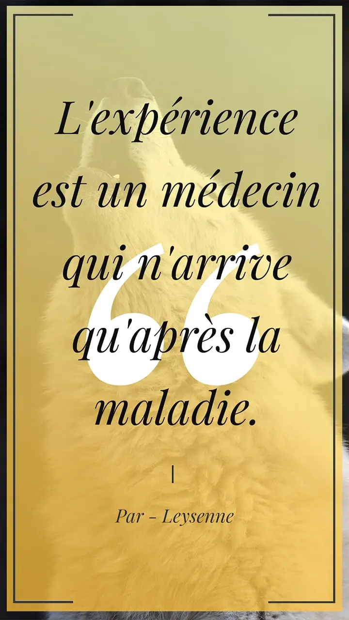 Citation sur l’expérience