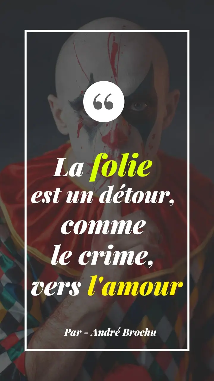 citation sur l'amour et la folie