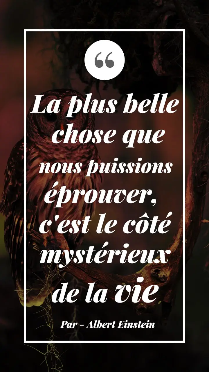 Citation philosophique sur la vie positive 