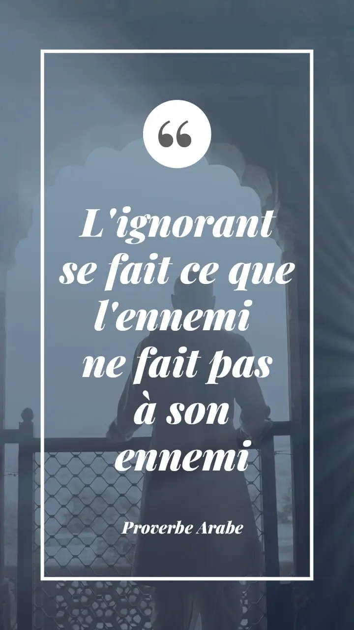 Citation sur l’ignorance 