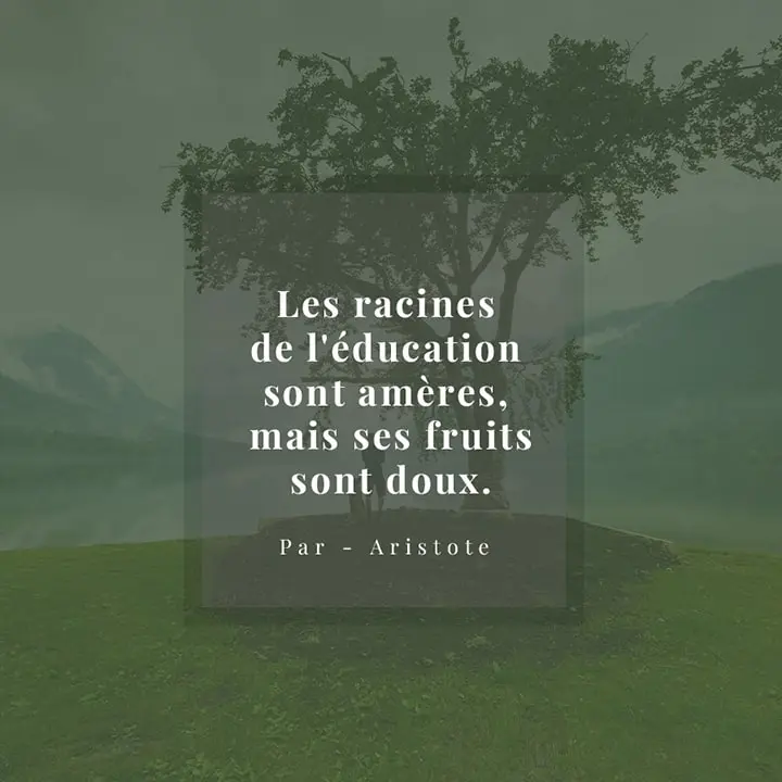 Citation sur l'éducation