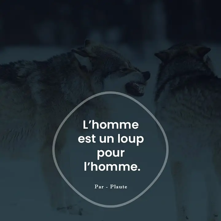 Citation sur les hommes 