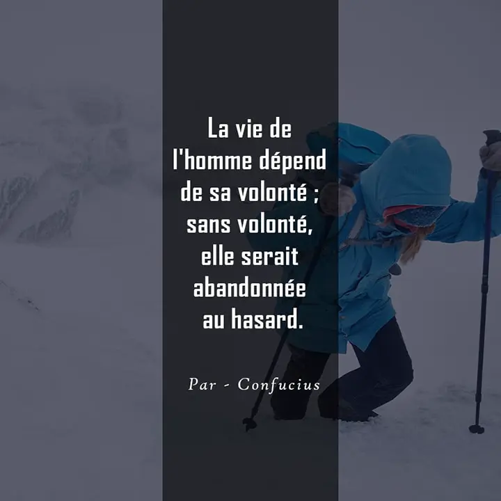 Citation sur la volonté