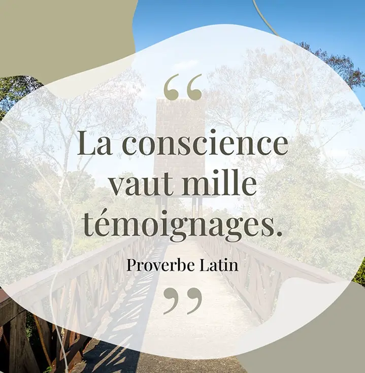 Proverbe sur la conscience 