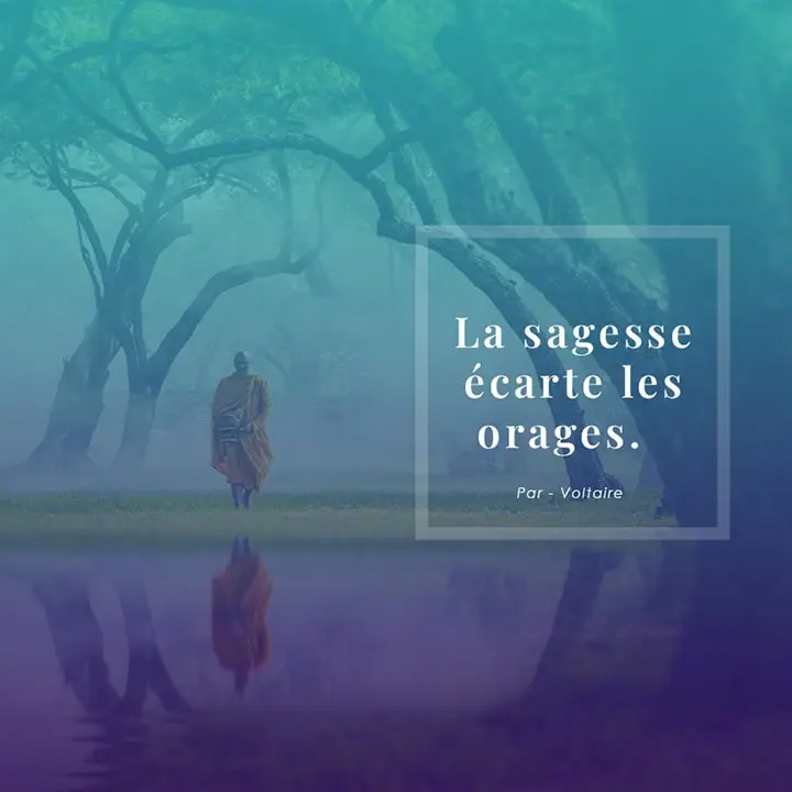 Citation sur la sagesse par Voltaire 