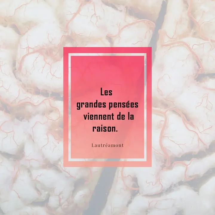 Citation sur la raison 