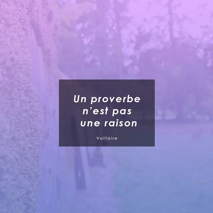 Citation sur la raison